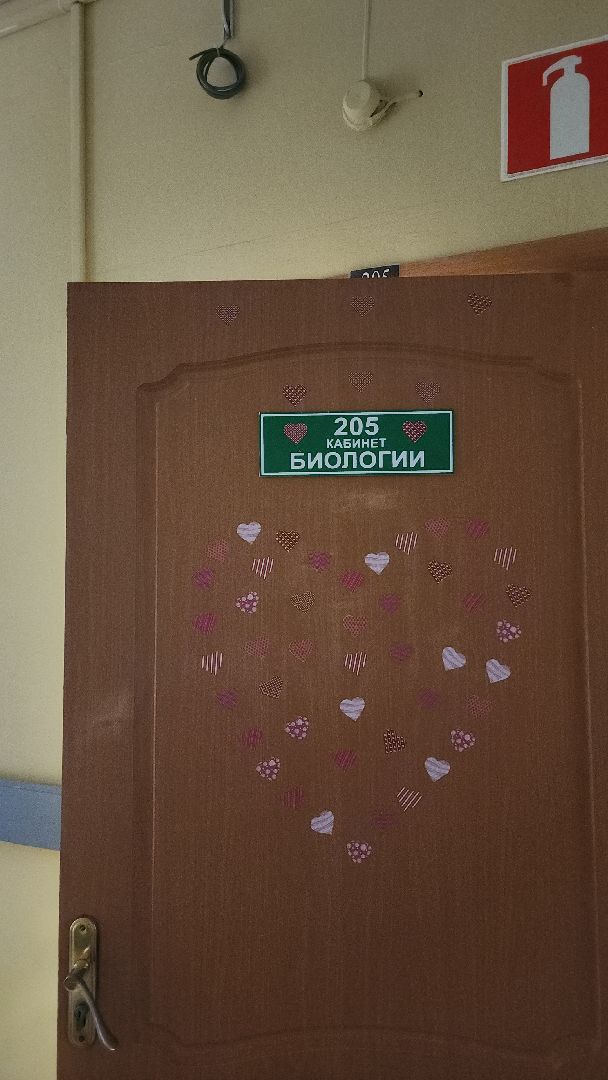 топ 100 учителей подмосковья, лучший учитель, лицей 7, электросталь, учитель биологии, мой город, образование, образование в подмосковье, образование электросталь,