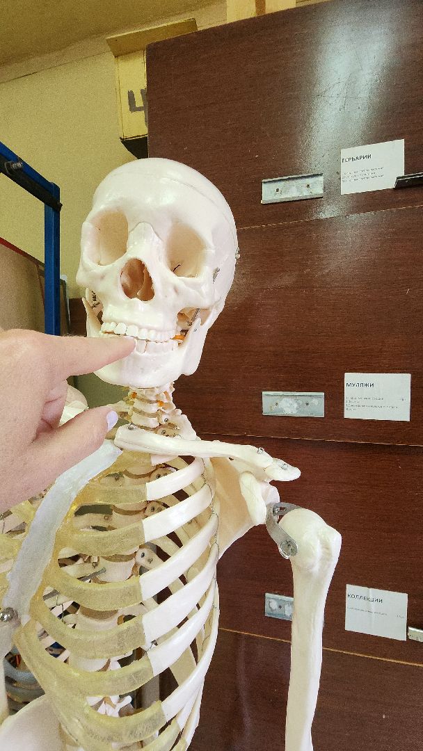 топ 100 учителей подмосковья, лучший учитель, лицей 7, электросталь, учитель биологии, мой город, образование, образование в подмосковье, образование электросталь,