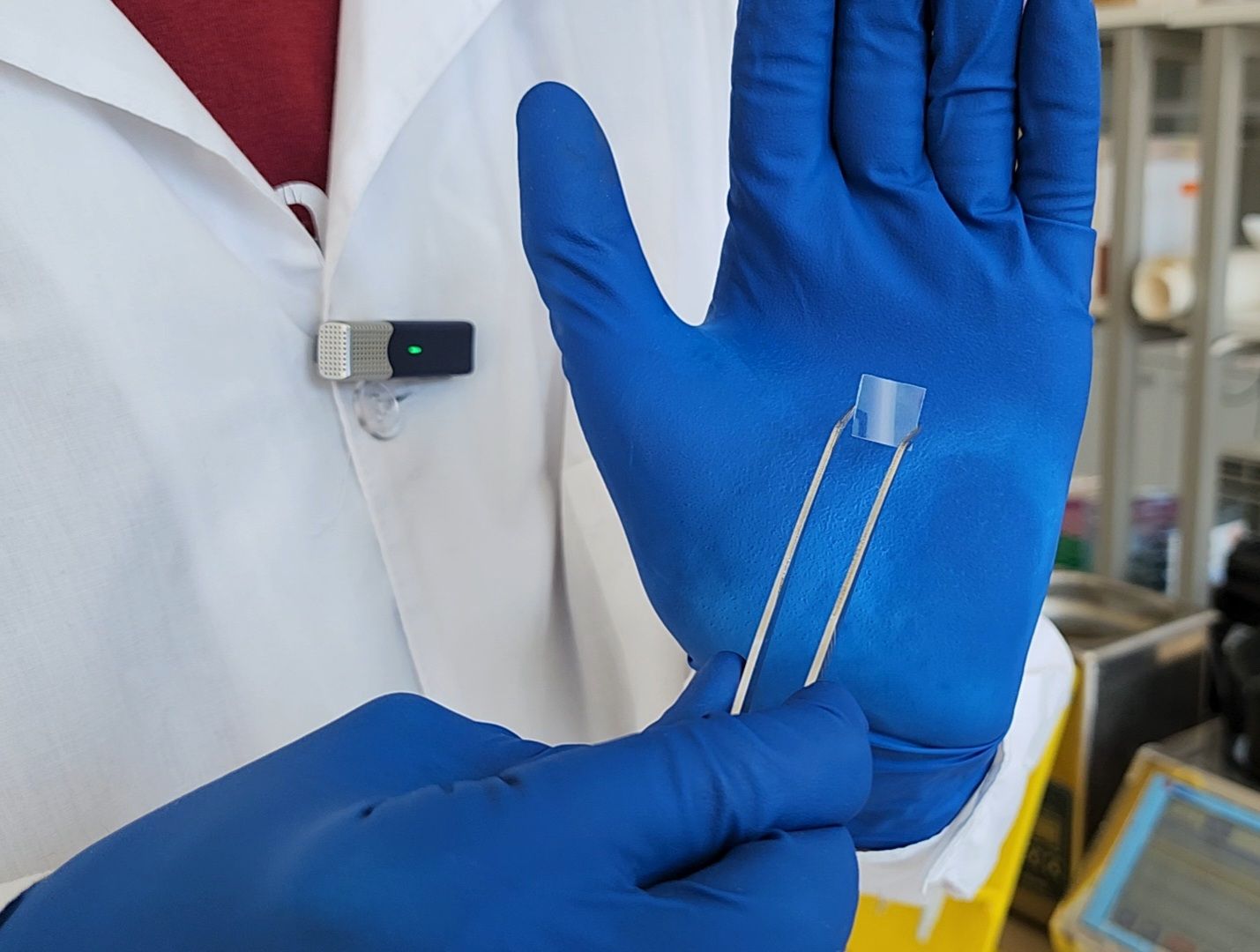 Дубна, Университет дубна, Дипломная работа, Выпускник, Магистратура,