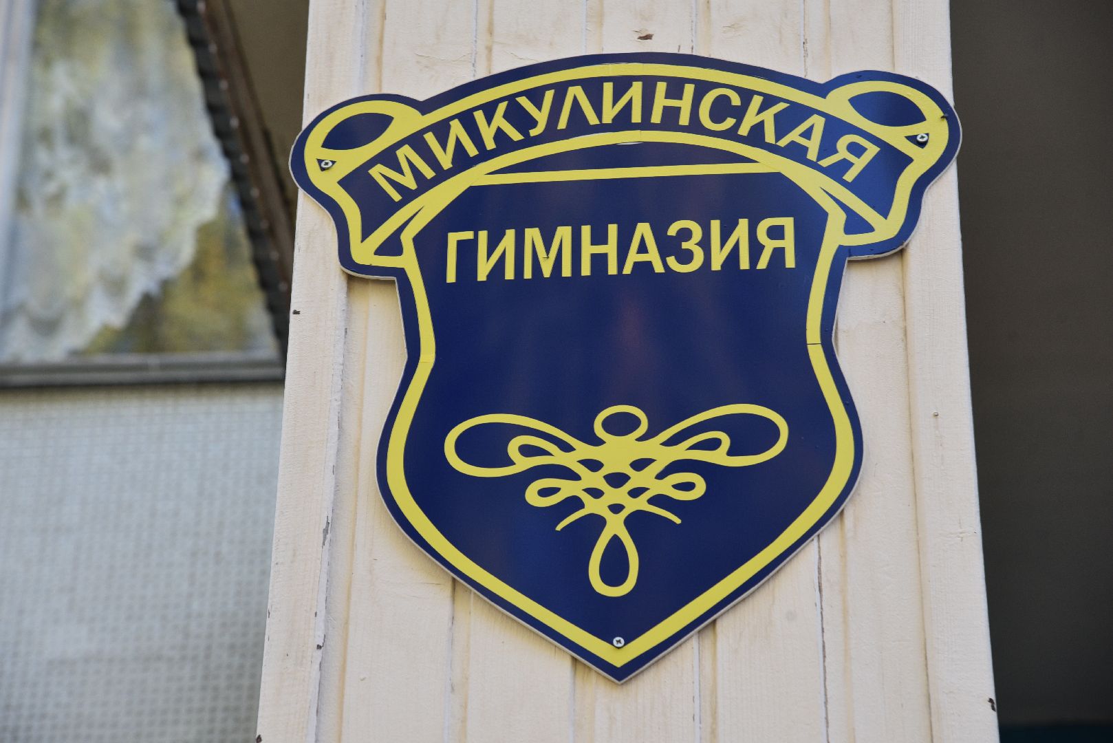 лотошино, микулино, микулинская гимназия, беспилотники, образование, национальный проект,