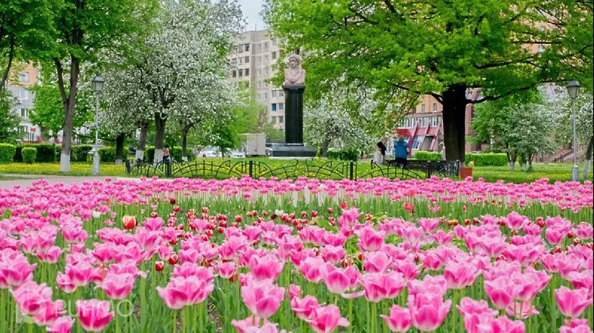 Подольск, сквер, освещение