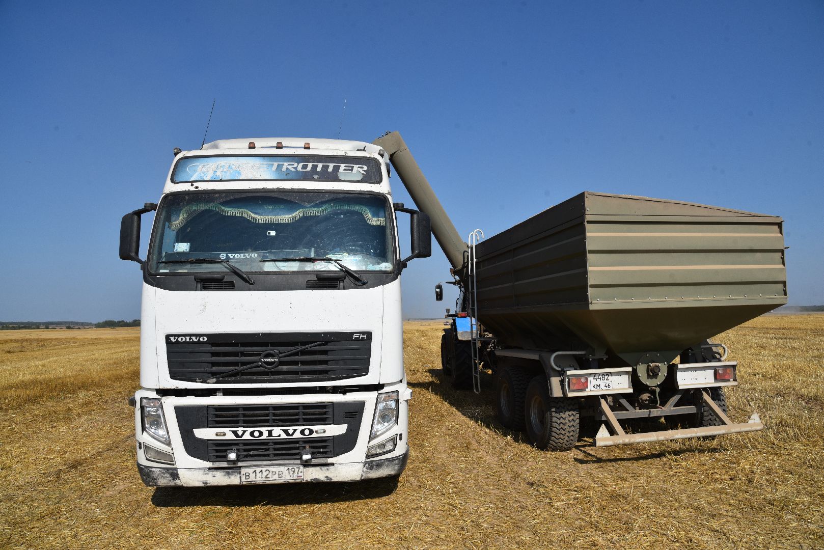 лотошино, сельское хозяйство, уборка урожая, урожай 2024,