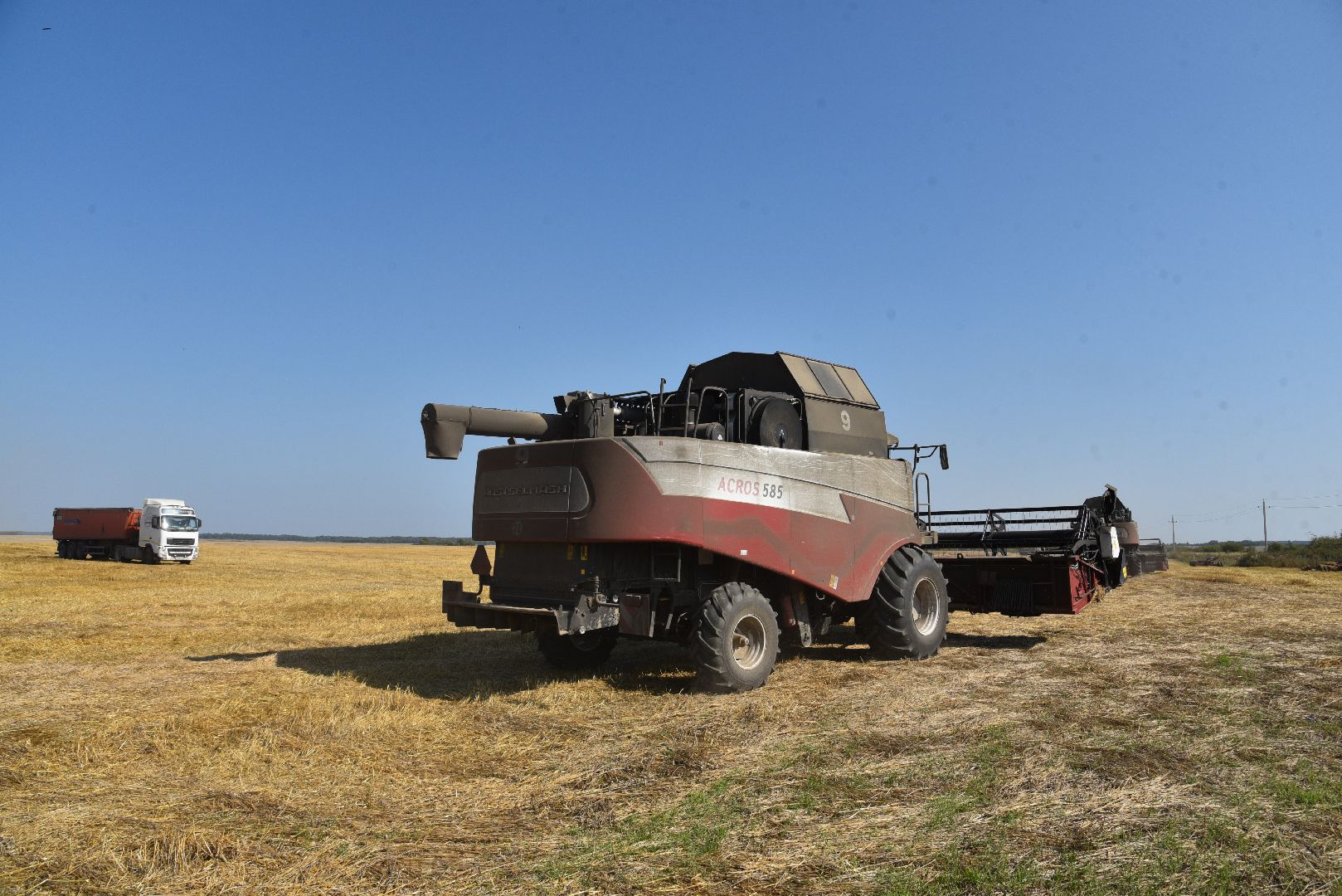 лотошино, сельское хозяйство, уборка урожая, урожай 2024,