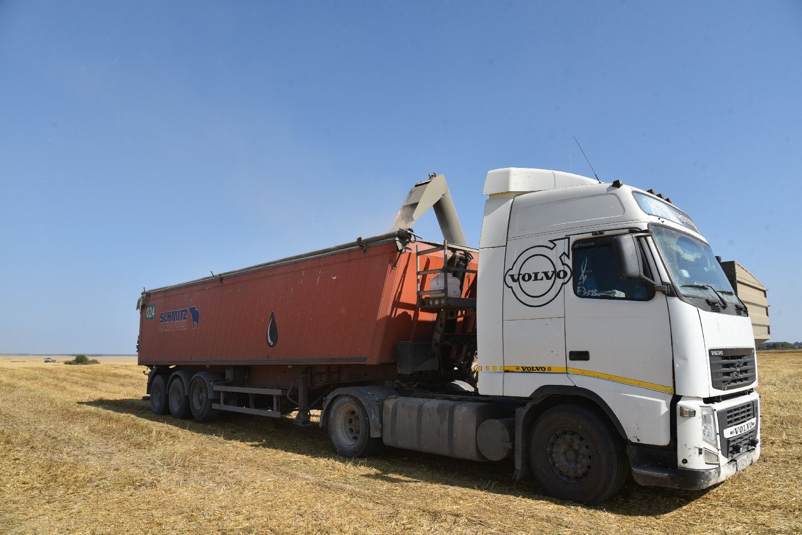 лотошино, сельское хозяйство, уборка урожая, урожай 2024,