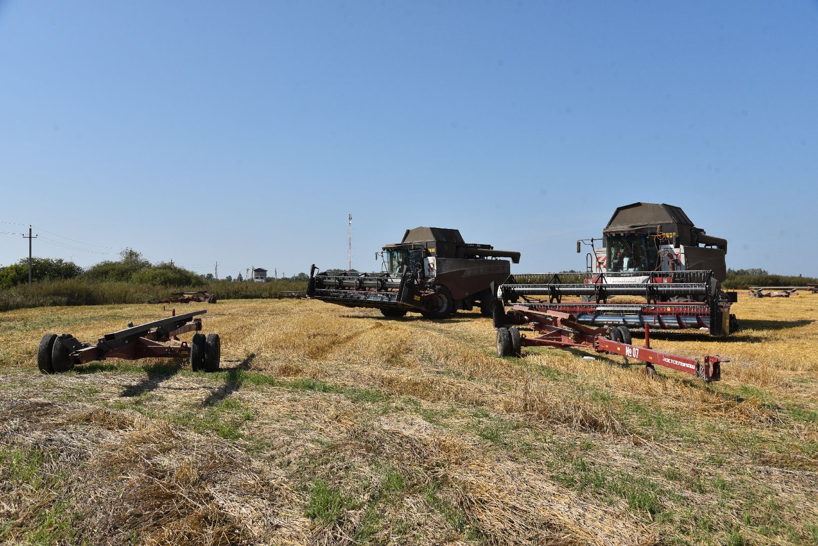 лотошино, сельское хозяйство, уборка урожая, урожай 2024,