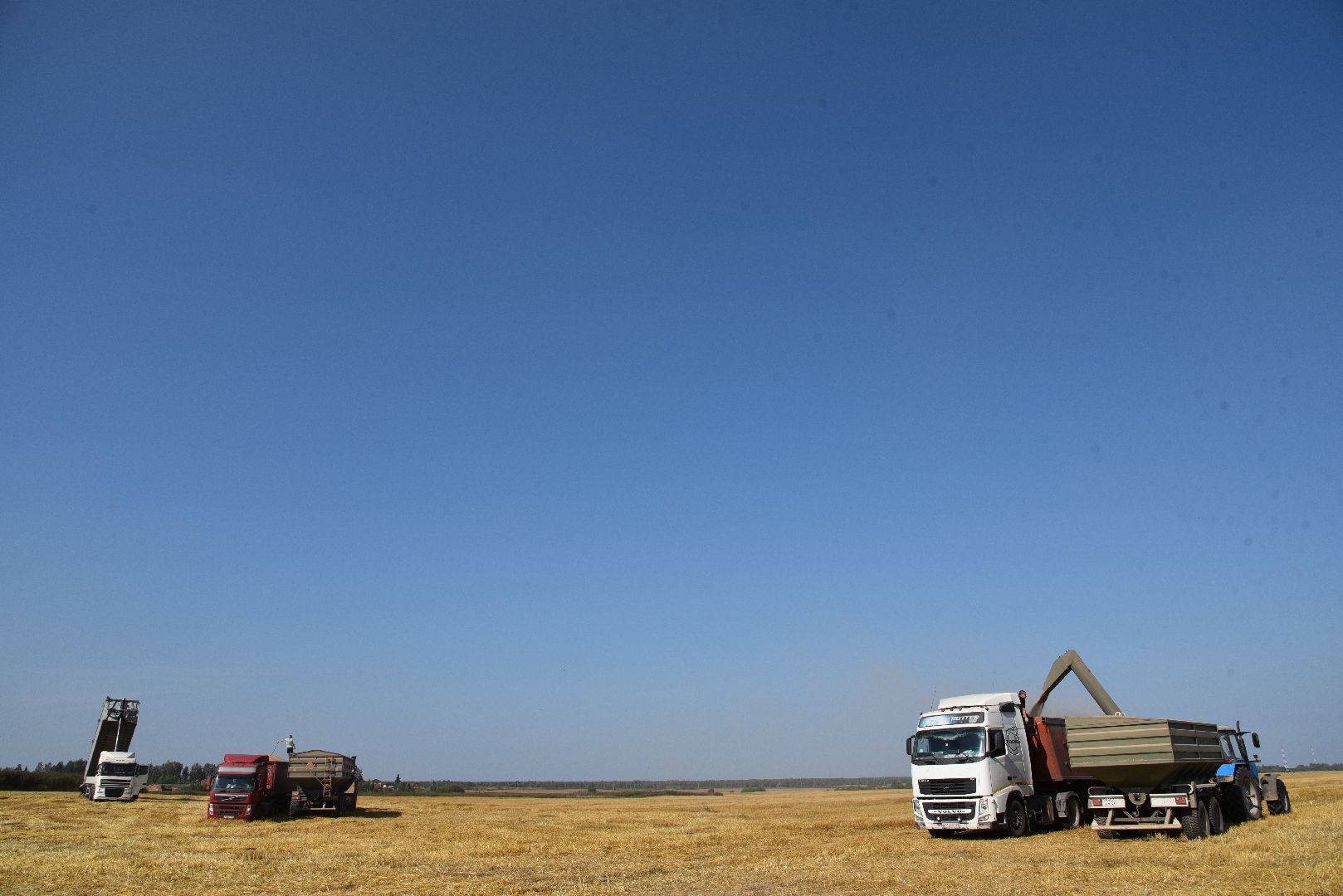 лотошино, сельское хозяйство, уборка урожая, урожай 2024,