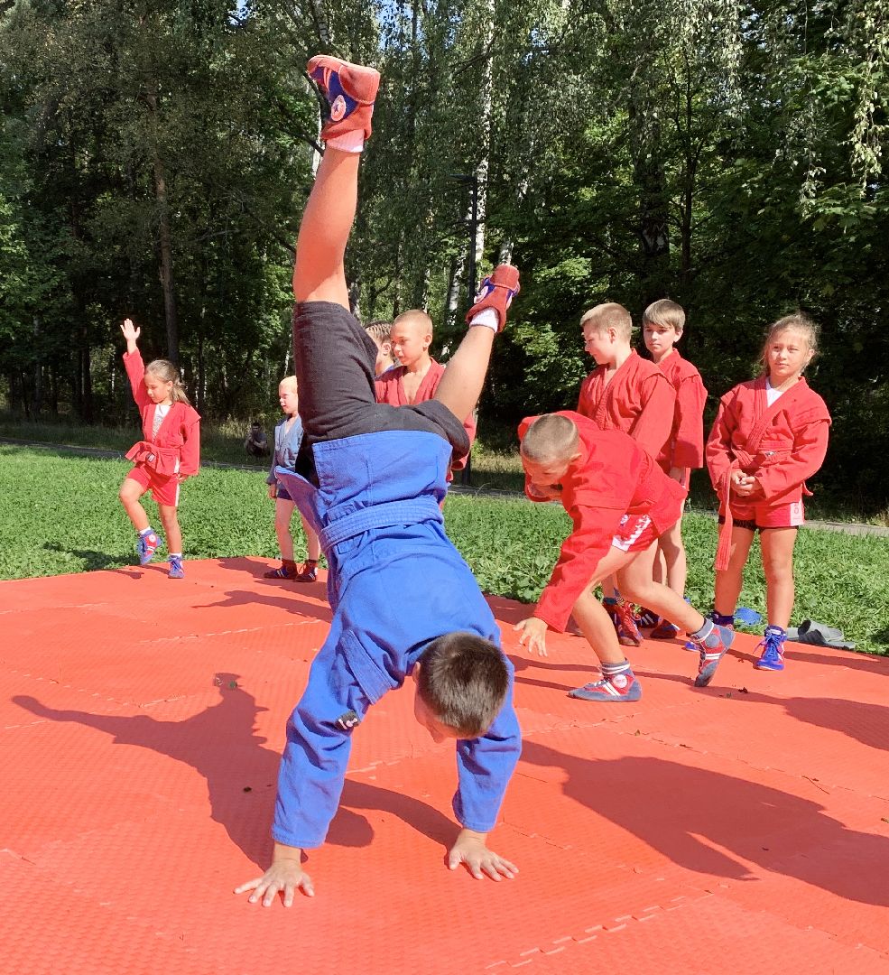 Балашиха, Подмосковье, Мастер-класс по самбо, Парки, Самбо, Парки Балашихи,