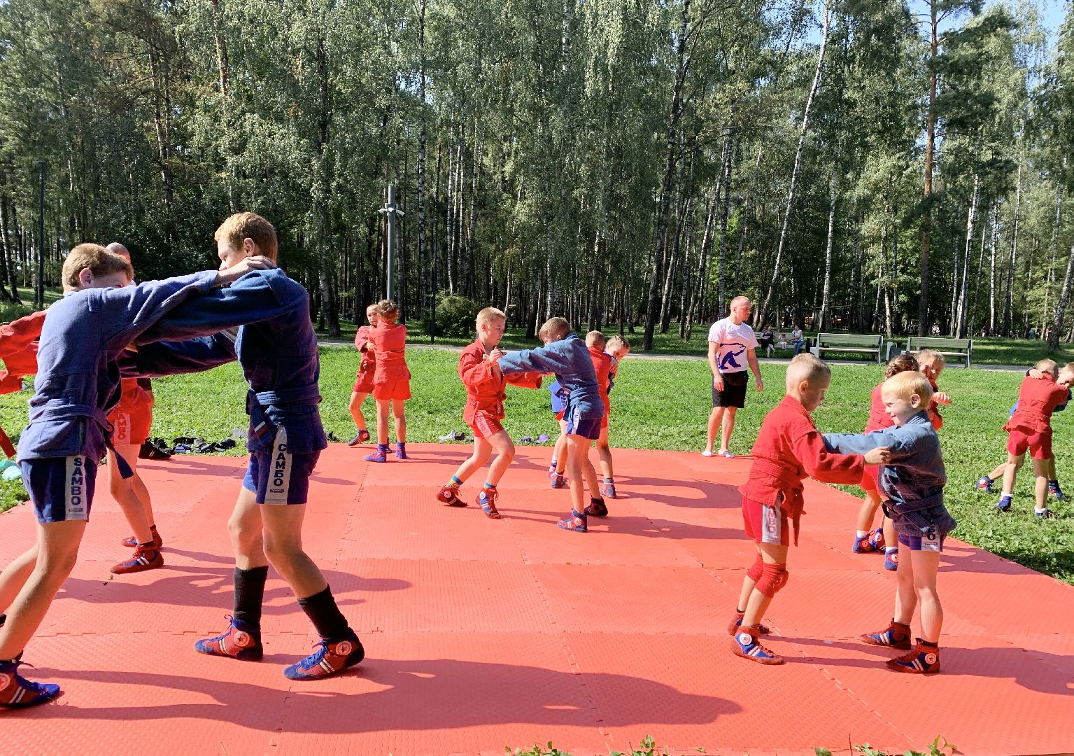 Балашиха, Подмосковье, Мастер-класс по самбо, Парки, Самбо, Парки Балашихи,