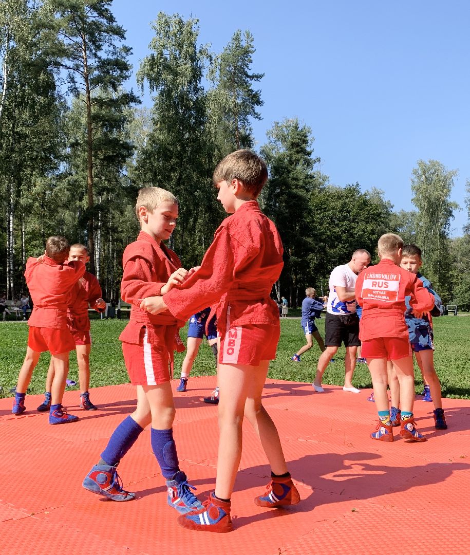 Балашиха, Подмосковье, Мастер-класс по самбо, Парки, Самбо, Парки Балашихи,