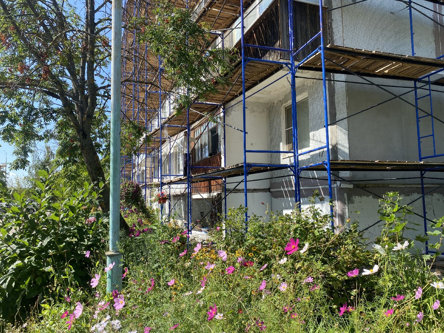 обращения жителей, власиха заозерная, мкр заозерный власиха, обход территории, контроль выполнения работ,