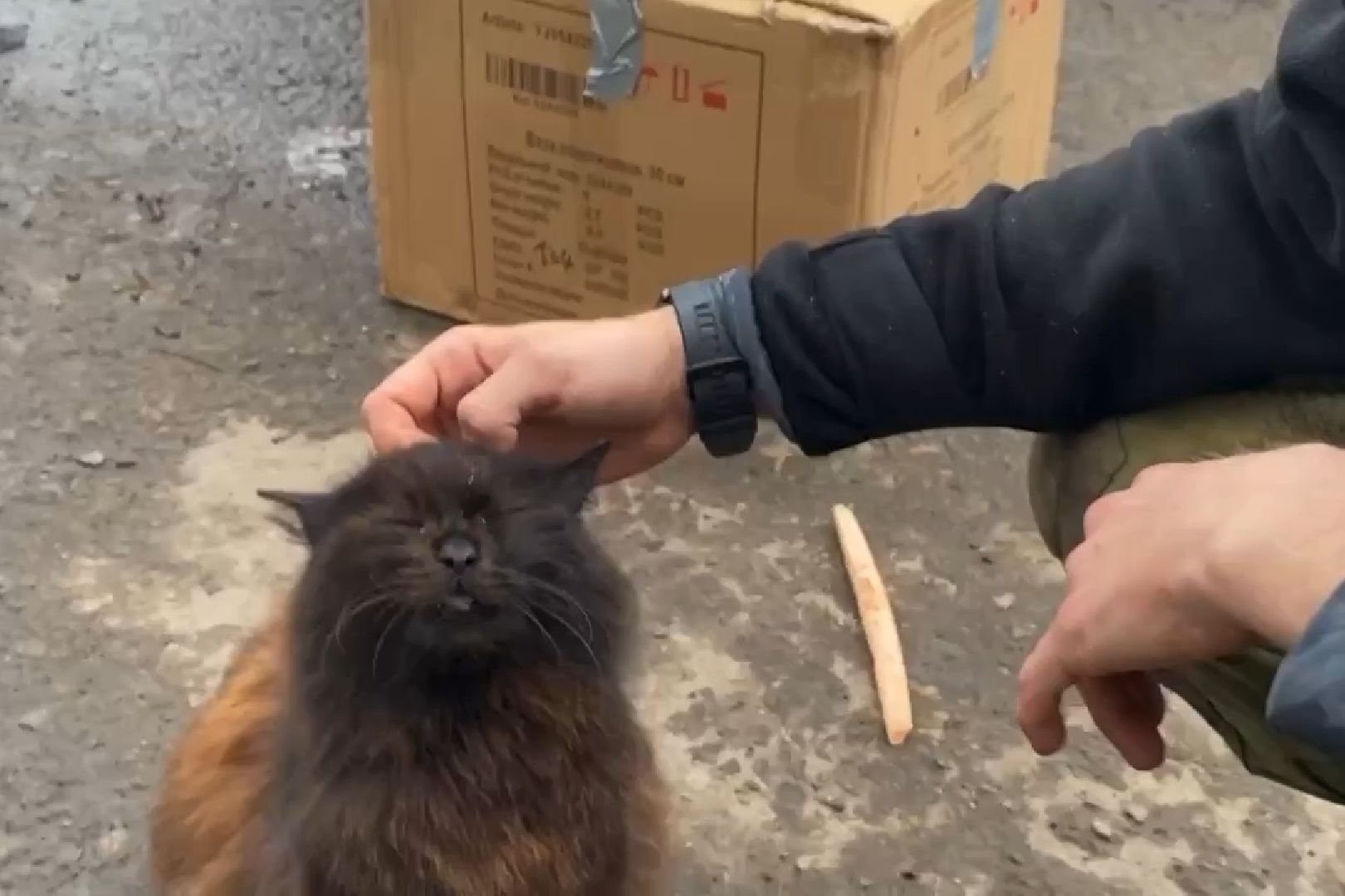 Подольск, гумпомощь