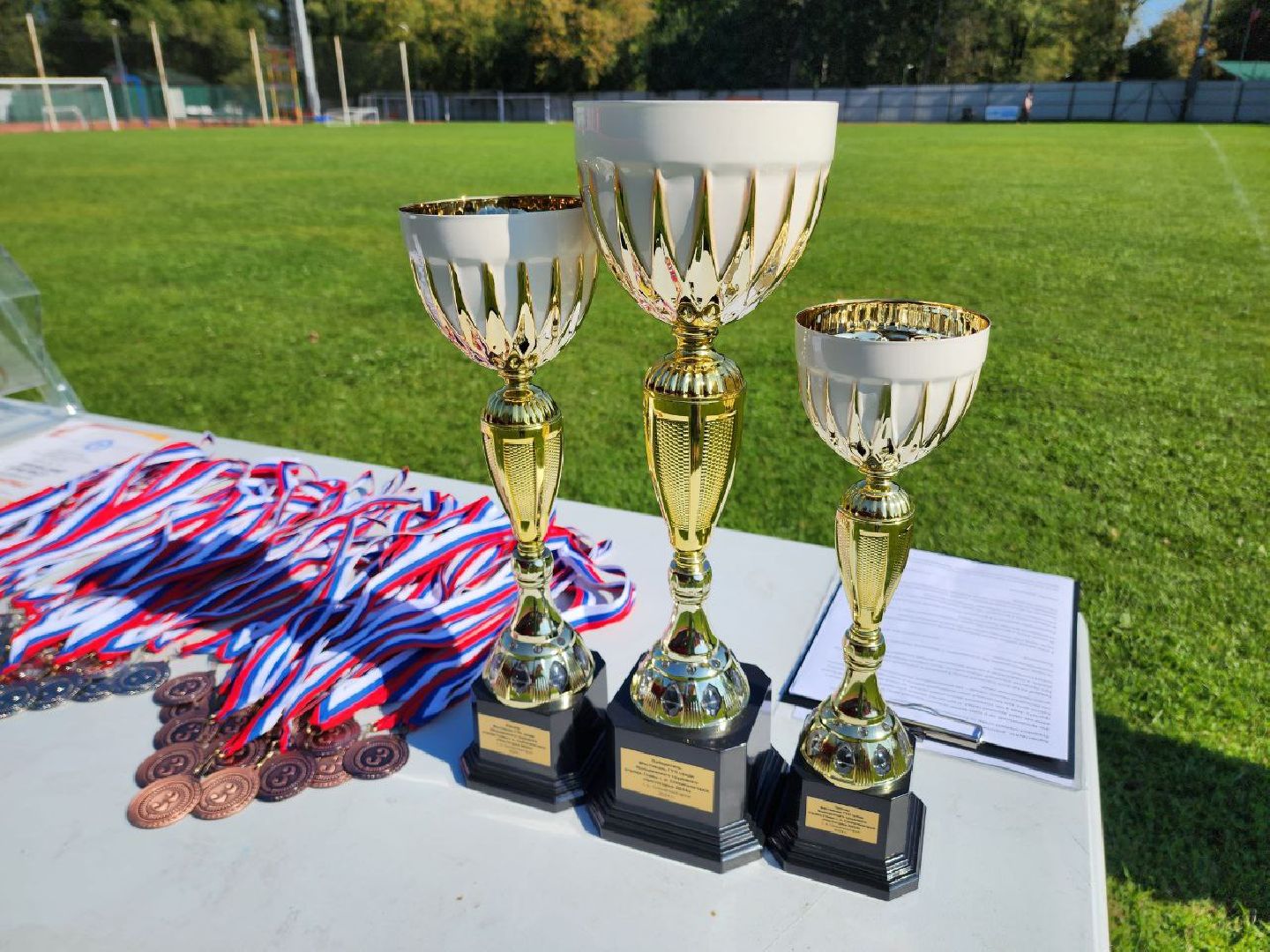 Солнечногорск, Чистогорье, трудовой отряд, благоустройство, Награждение,