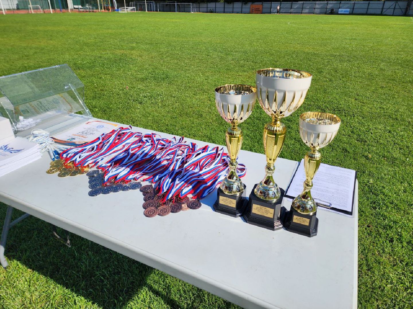 Солнечногорск, Чистогорье, трудовой отряд, благоустройство, Награждение,