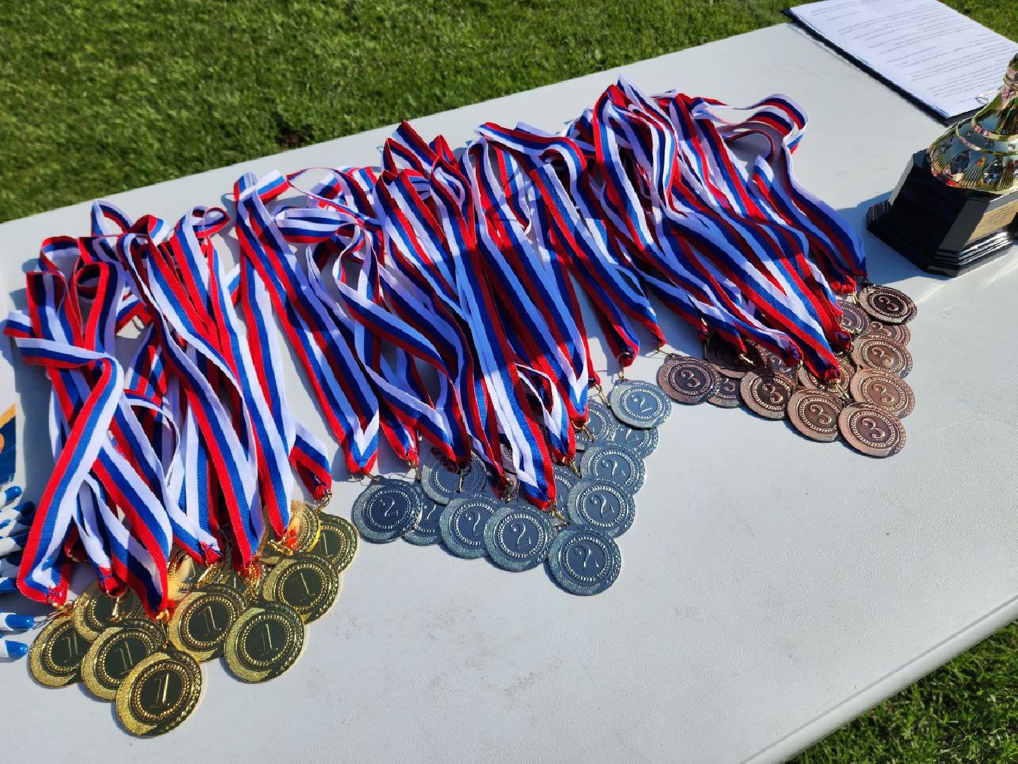 Солнечногорск, Чистогорье, трудовой отряд, благоустройство, Награждение,