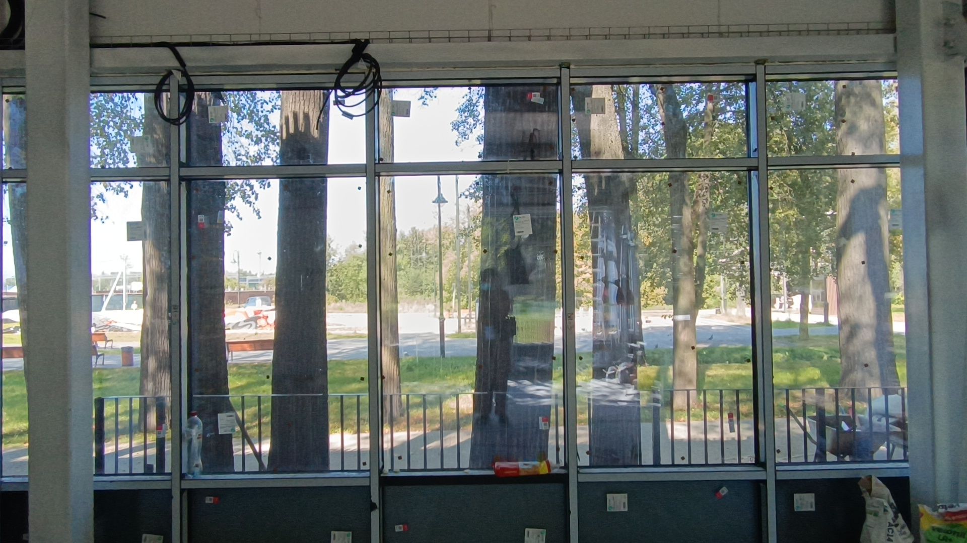 парк, лобня, мастер-класс,