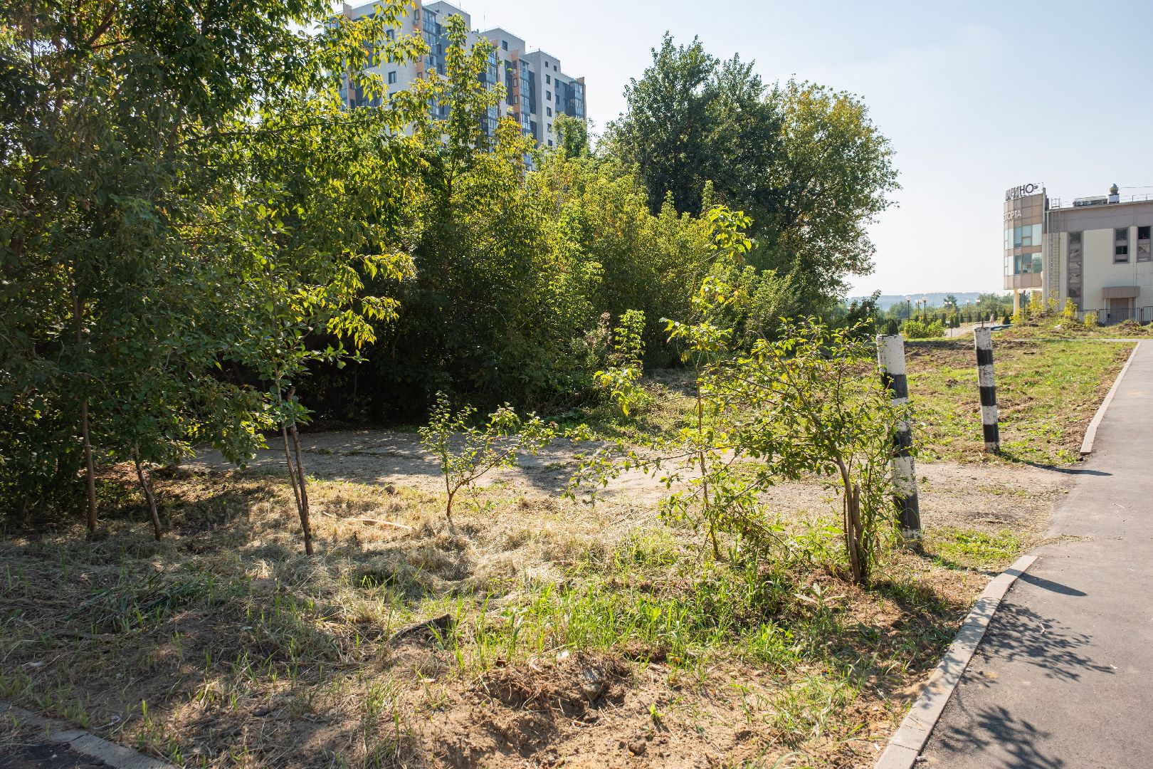 лыткарино, общество, выездная администрация, жкх,