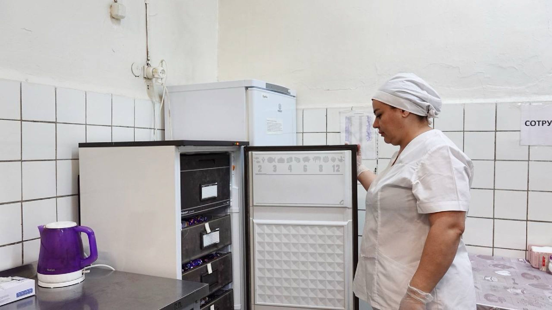 Мороженое, День знаний, Сергиев Посад, Команда Губернатора, Дети, Акция, Школы,