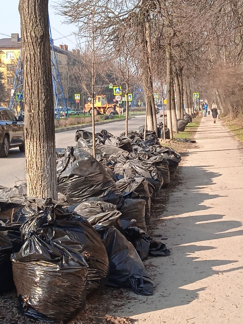 перемены, уборка, сквер, дворы, мусор