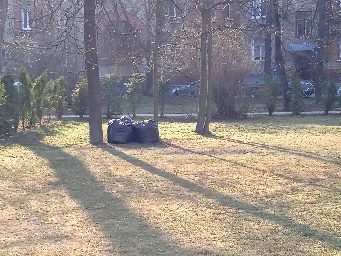 перемены, уборка, сквер, дворы, мусор