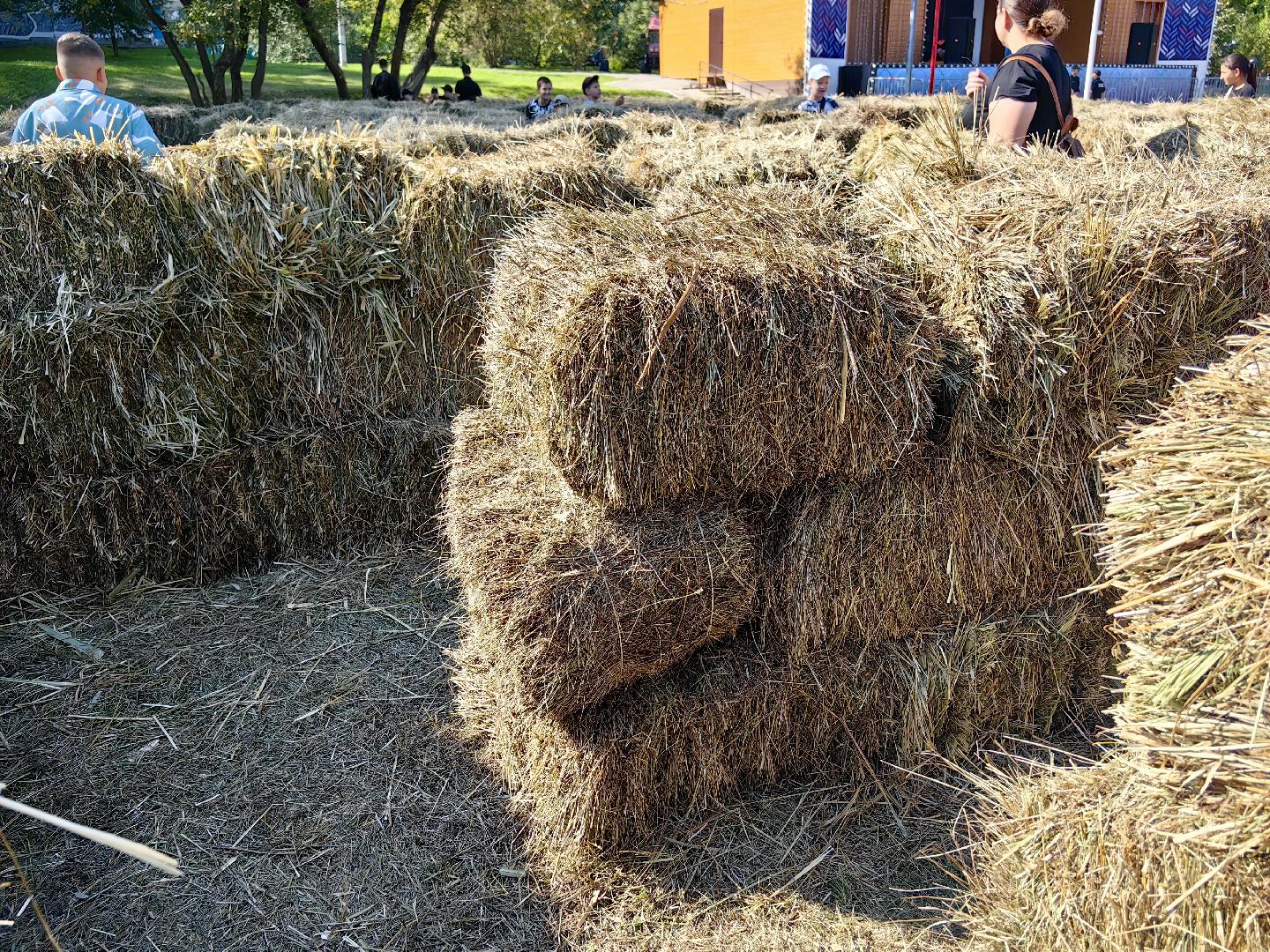 кинопоказ, фестиваль Русской культуры, ТРАДИЦИИ, мини-зоопарк с животными, фотозоны, Роспись по дереву,