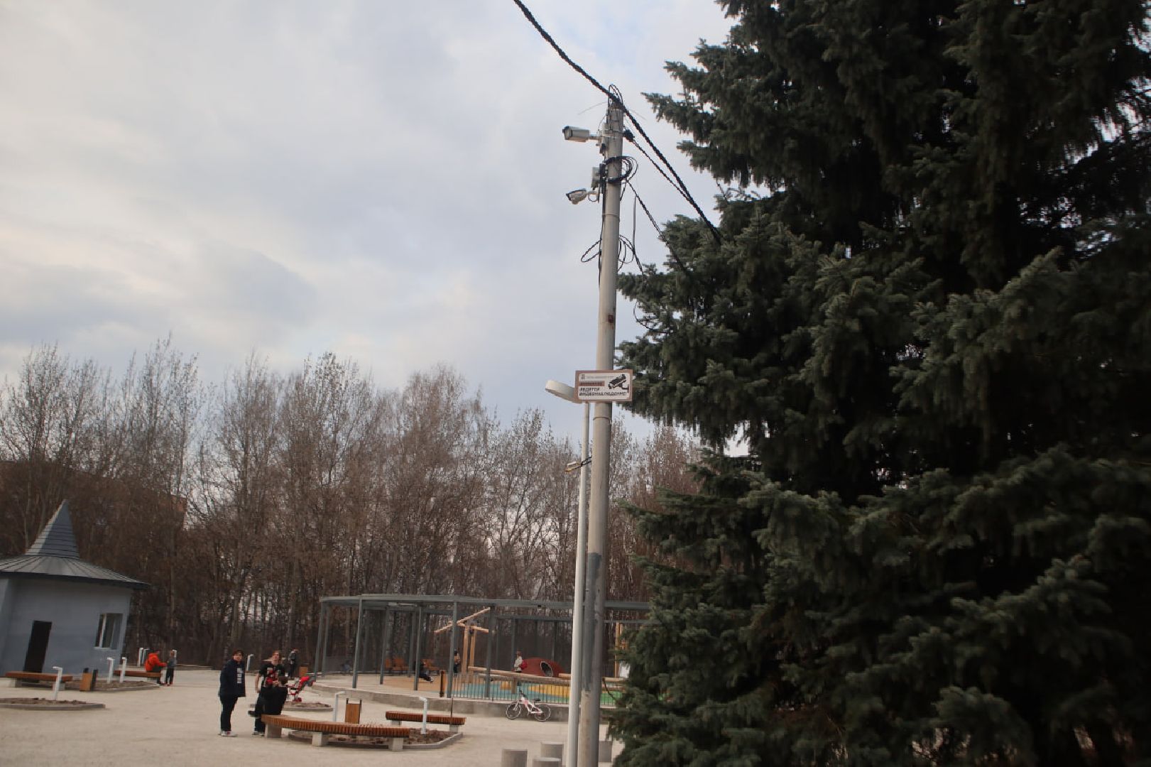 Подмосковье, Пущино, безопасность, безопасный регион