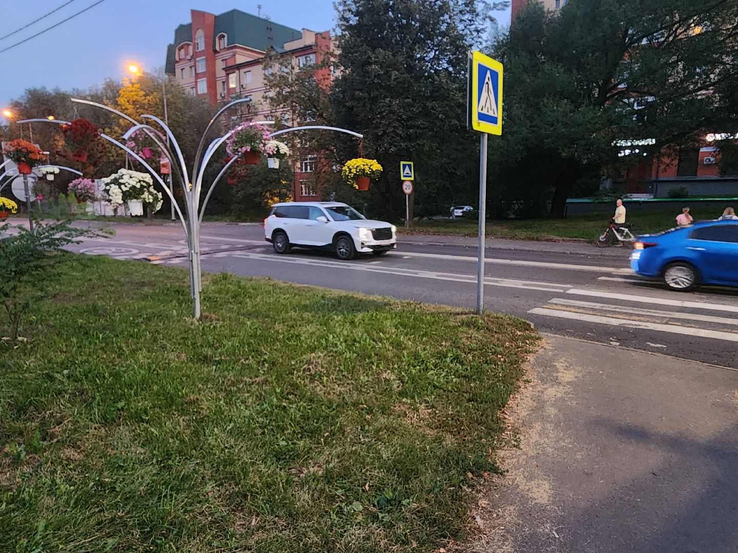 долгопрудный, проспект пацаева, петунии, хризантемы, вертикальные клумбы,