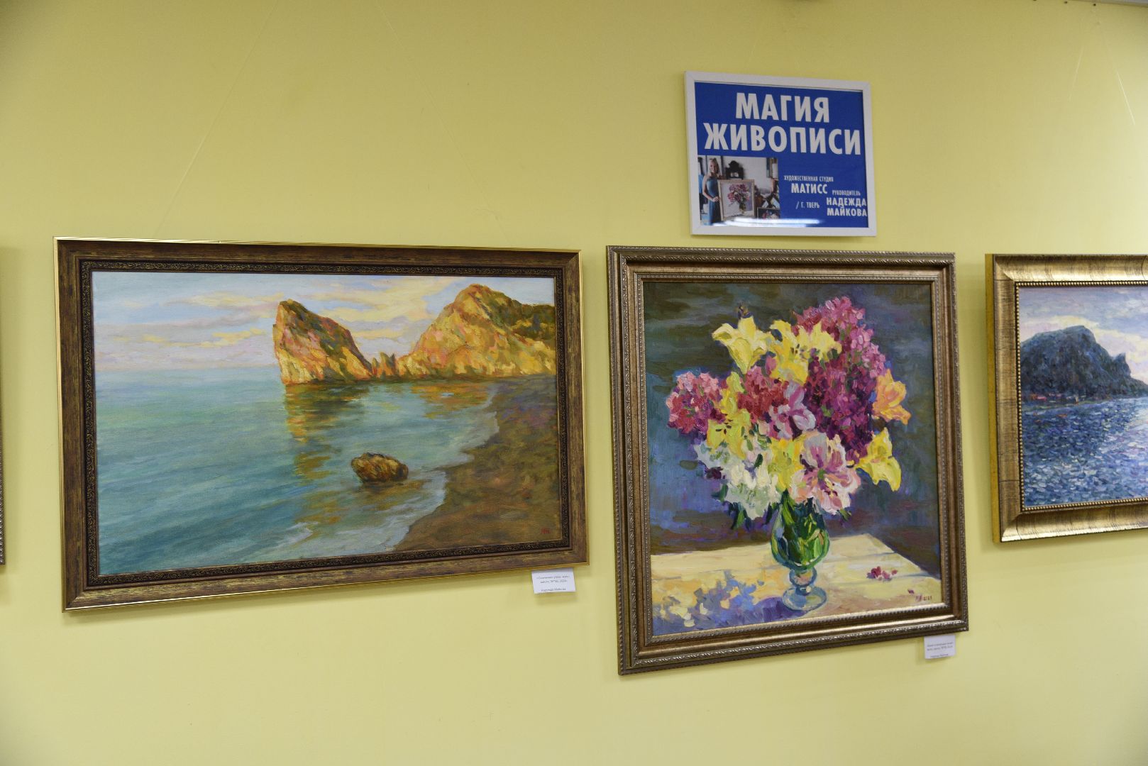 лотошино, лотошинская библиотека, день открытых дверей, культура,