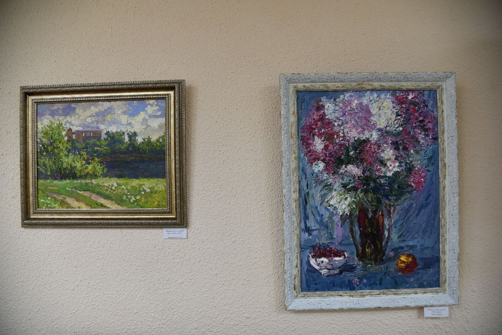 лотошино, лотошинская библиотека, день открытых дверей, культура,