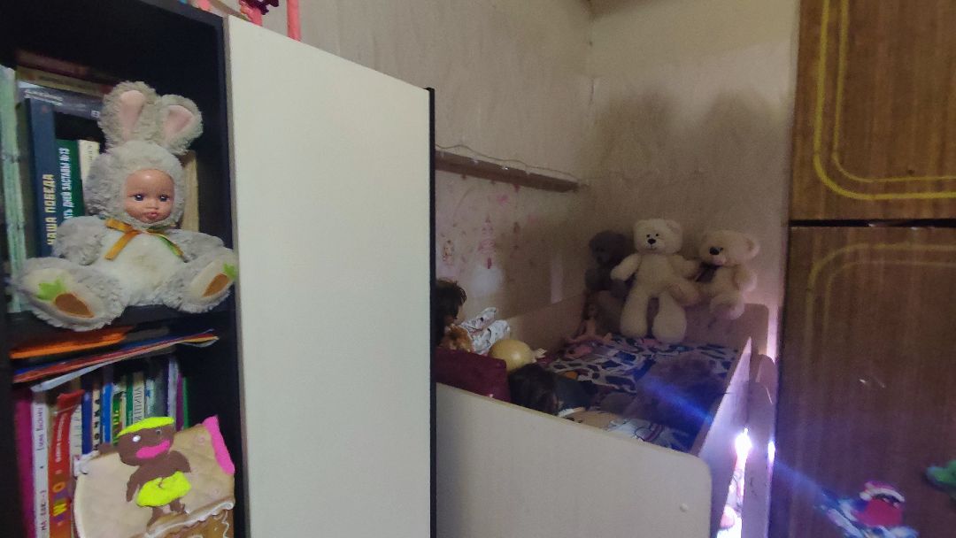 Кашира, общество