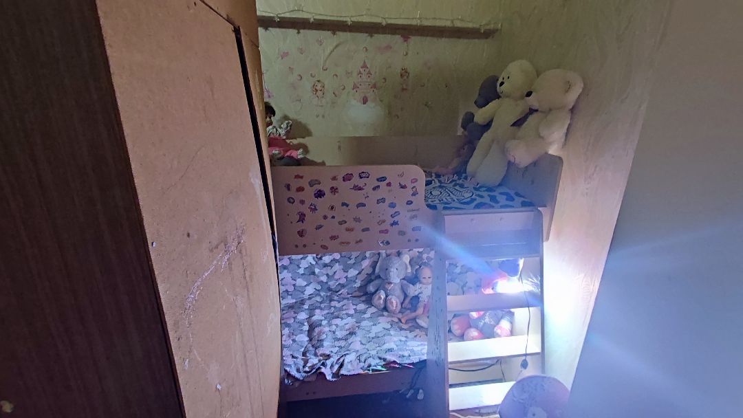 Кашира, общество