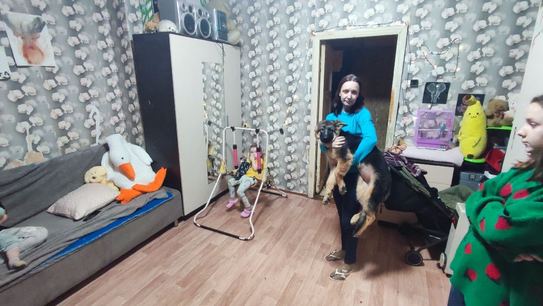 Кашира, общество