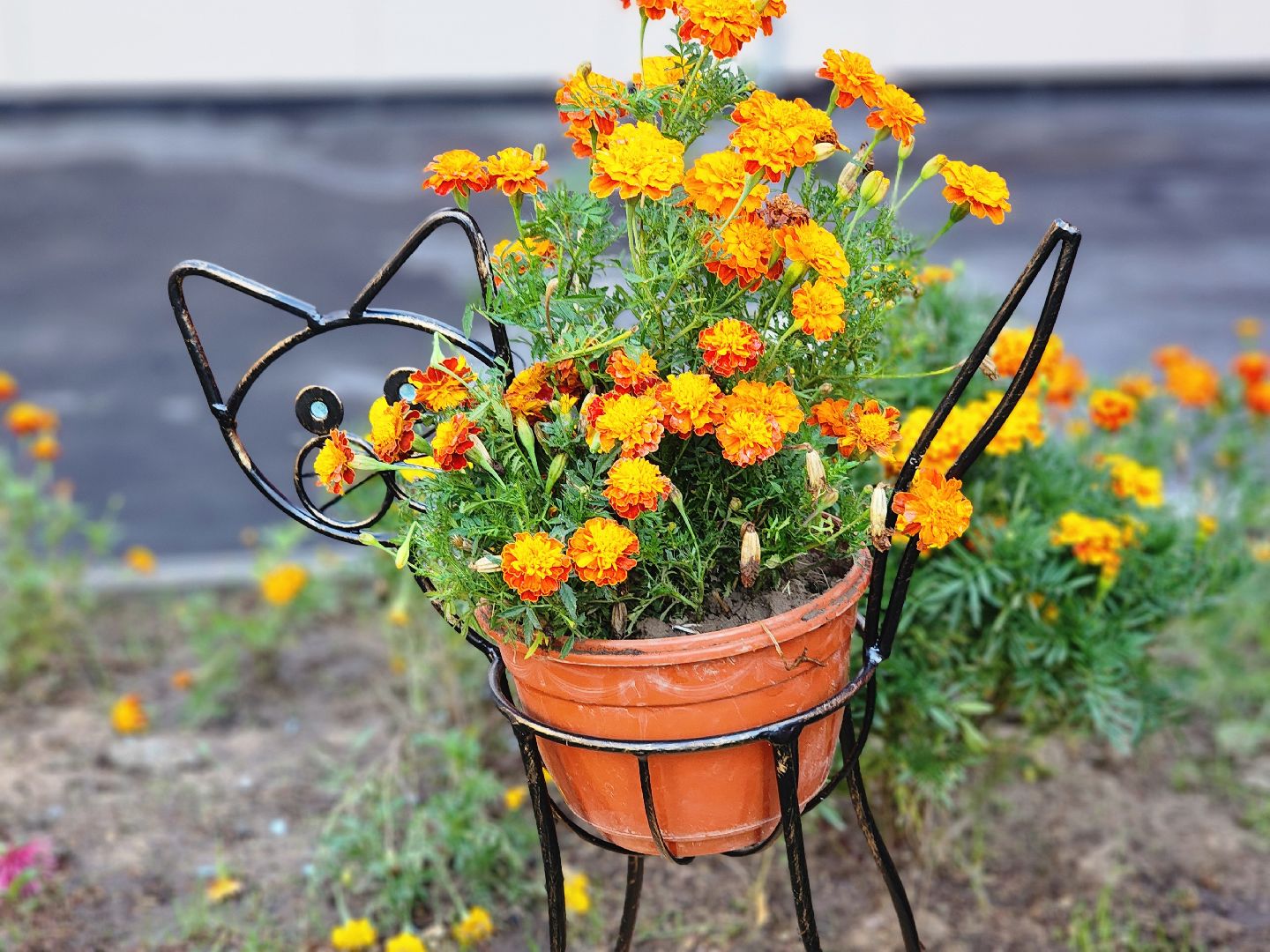 Детский сад, капитальный ремонт, открытие детского сада, руза, рузский городской округ, образование, образование рузский округ,