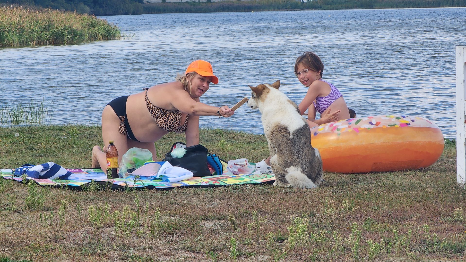 шатура, городской пляж, отдых на воде, туризм, подмосковный туризм, туризм в подмосковье,