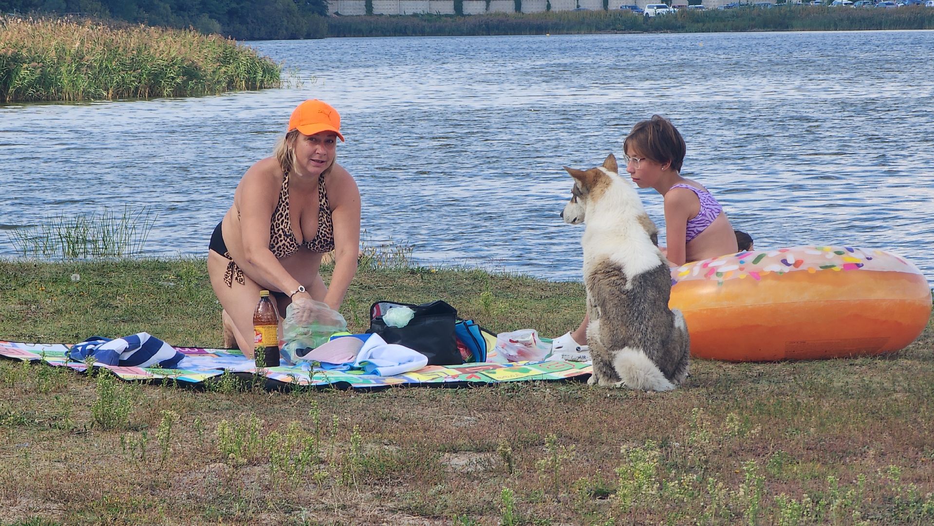 шатура, городской пляж, отдых на воде, туризм, подмосковный туризм, туризм в подмосковье,