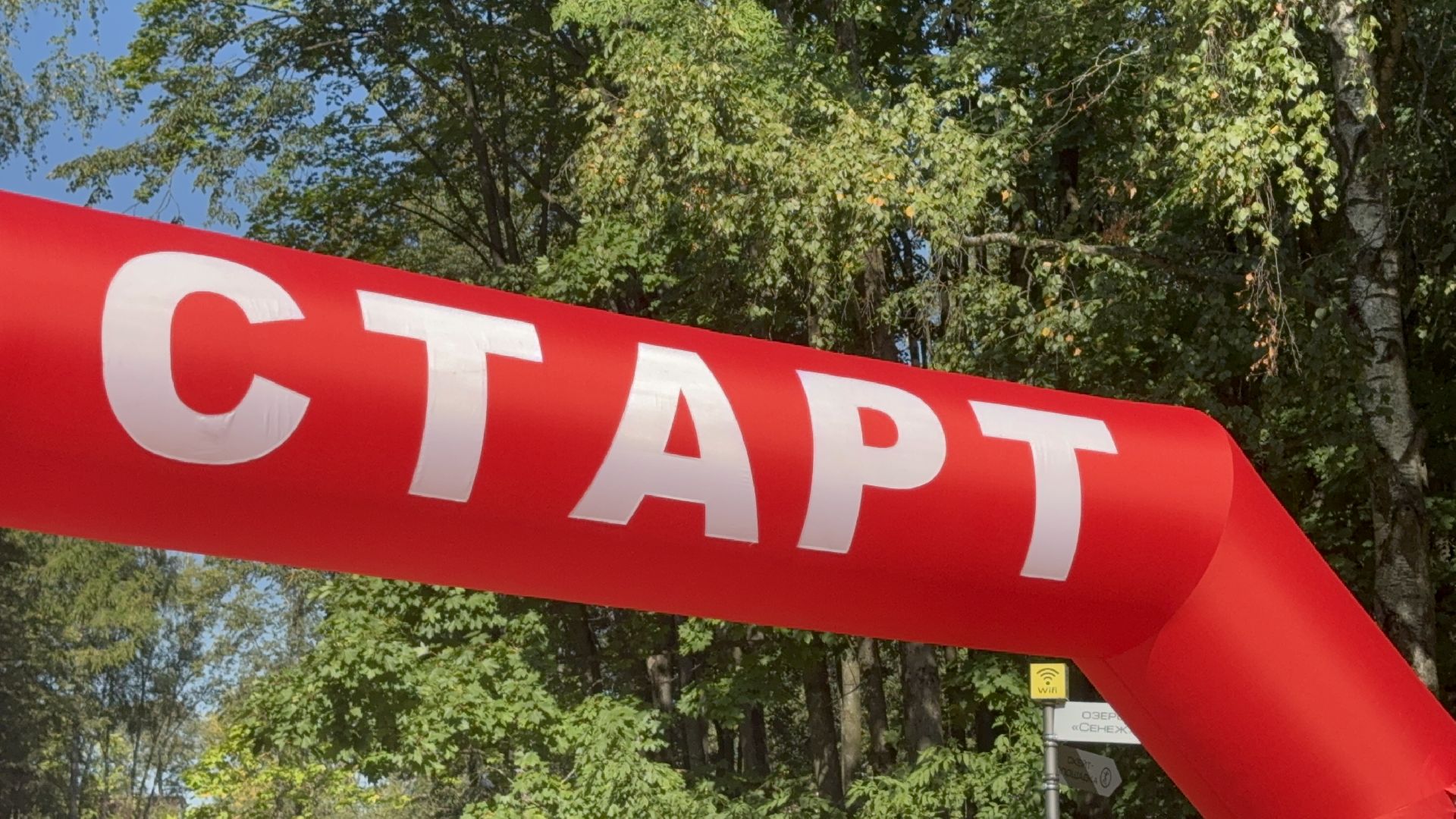 Солнечногорск, День округа, Забег, Спорт, Дети, Награды,