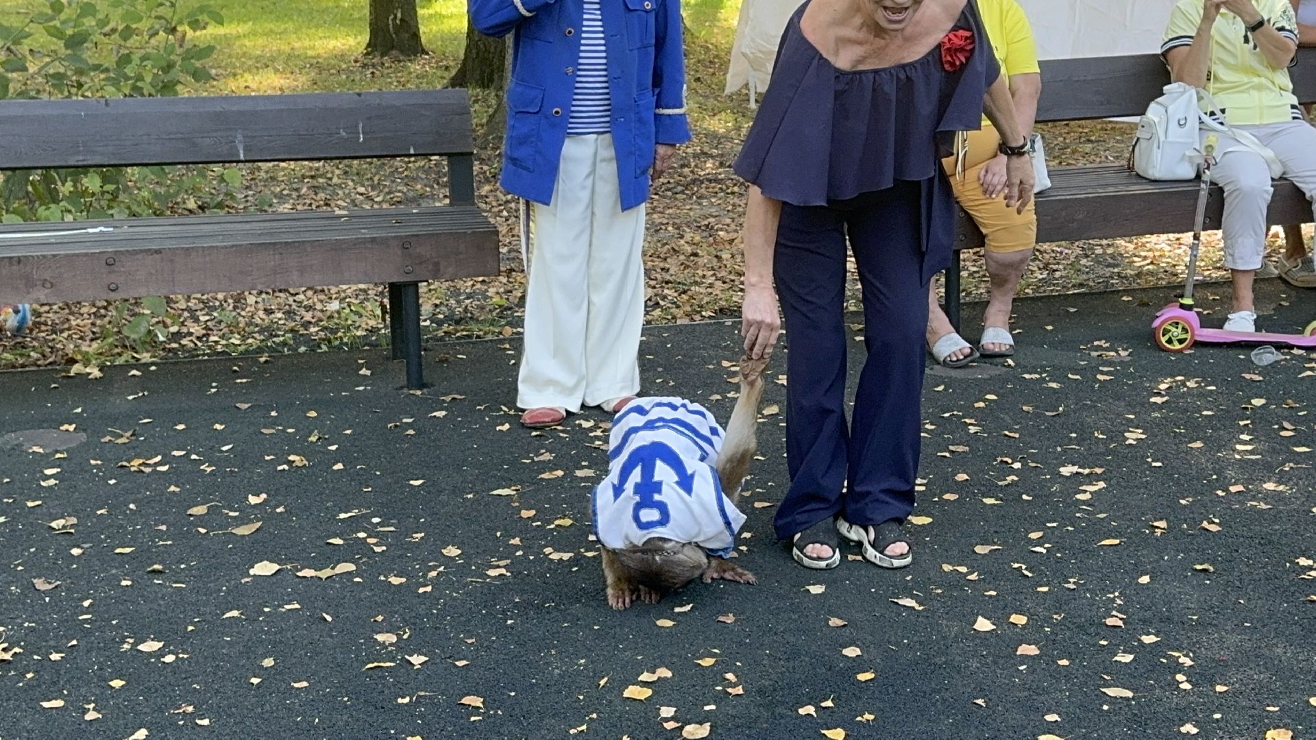 Солнечногорск, Праздник, День округа, Дети, мастер класс,