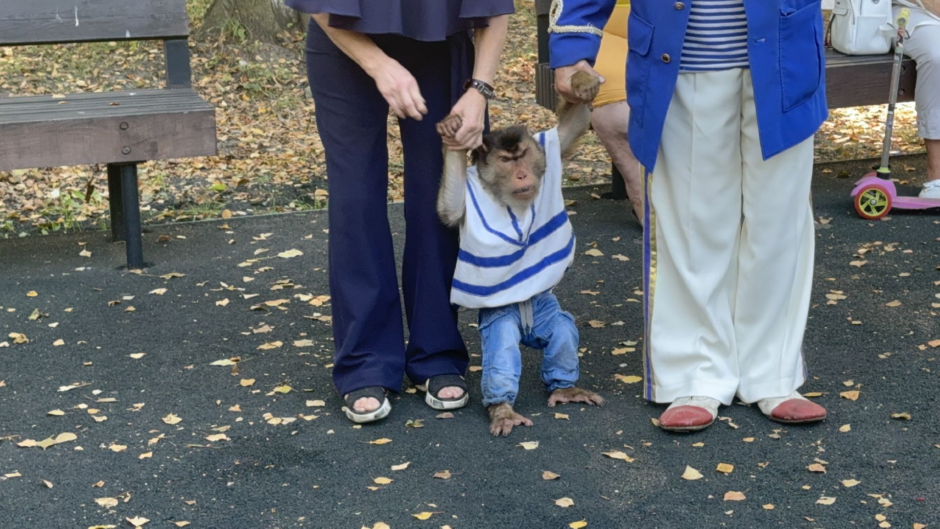 Солнечногорск, Праздник, День округа, Дети, мастер класс,