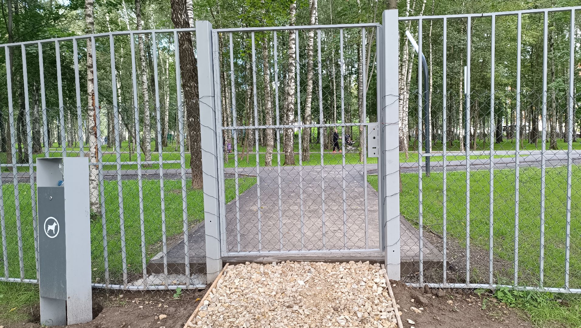 собака, лобня, парк,