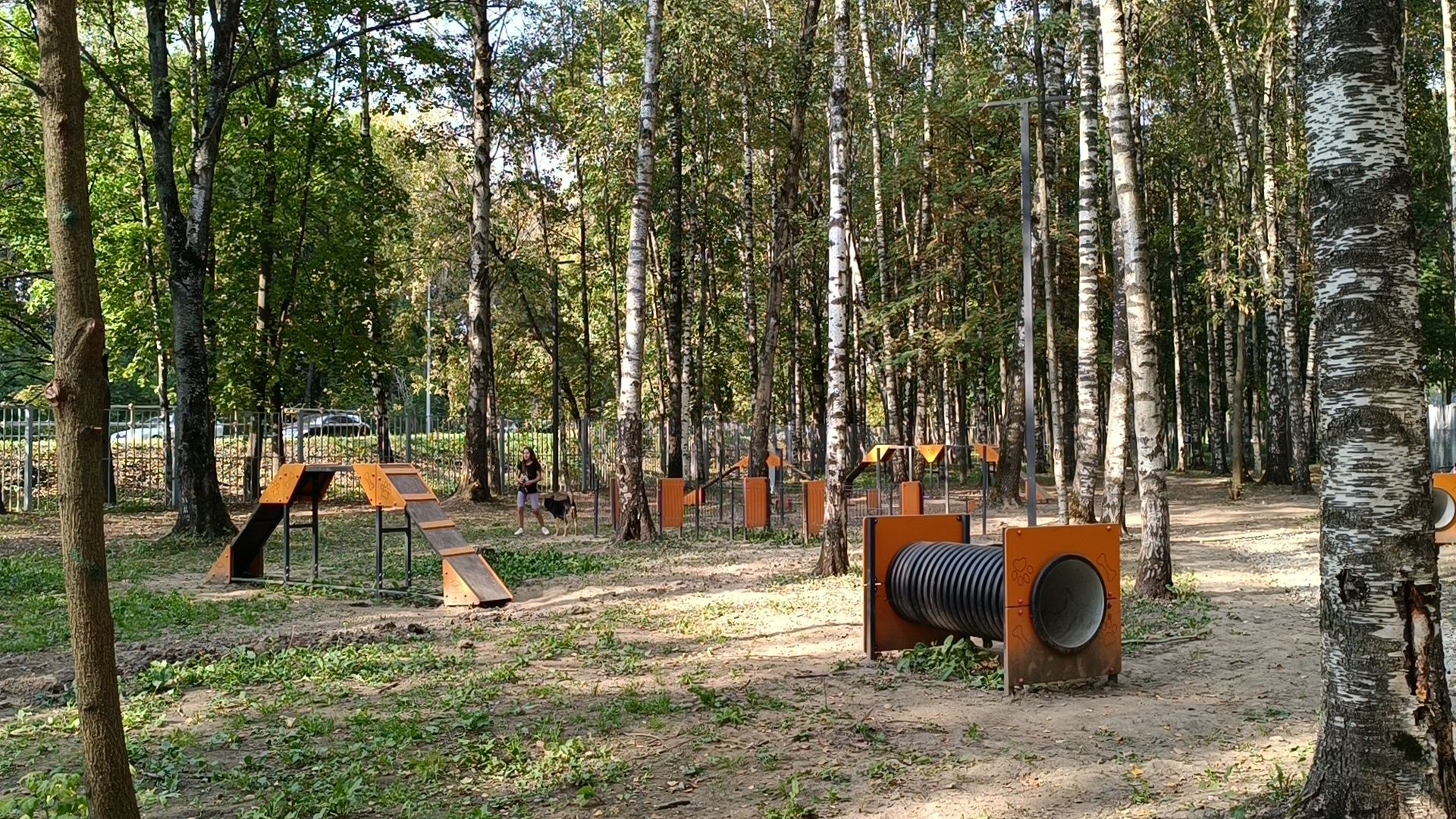 собака, лобня, парк,