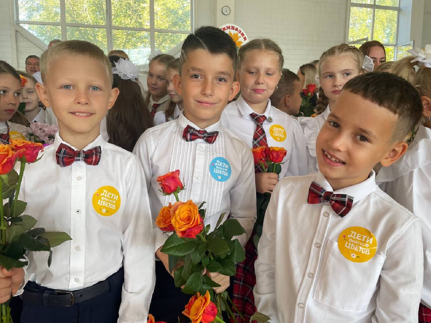 Дмитров, Гимназия Дмитров, Минобр,