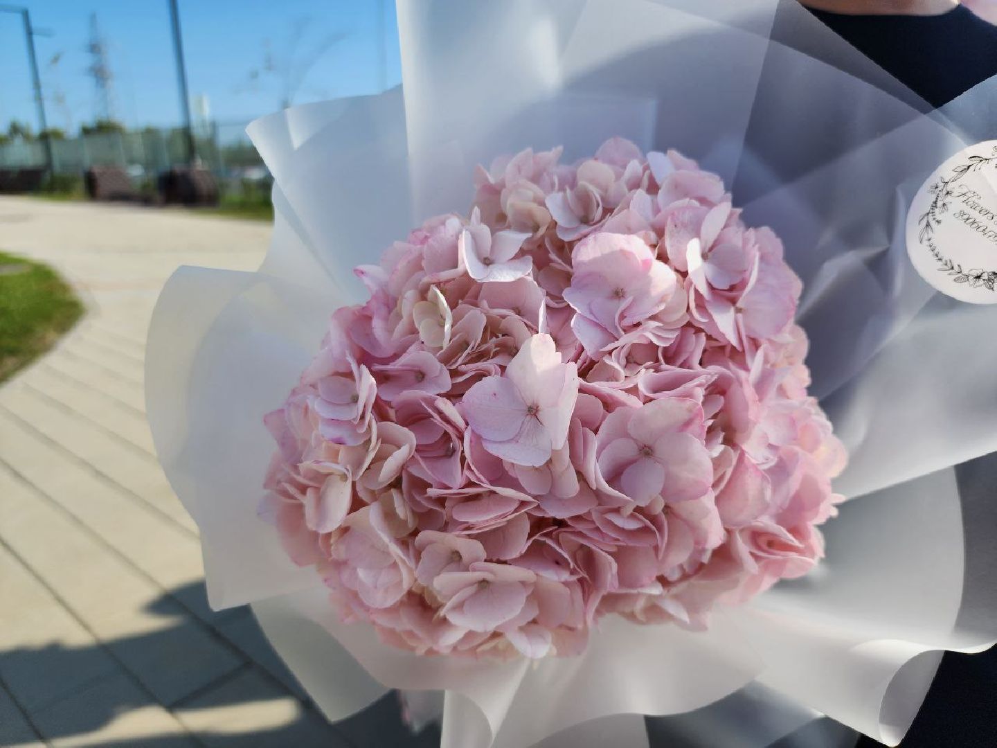 можайск, можайский городской округ, подмосковье, 1 сентября, день знаний, школа, учебный год, новый учебный год, школы можайска, торжественная линейка,