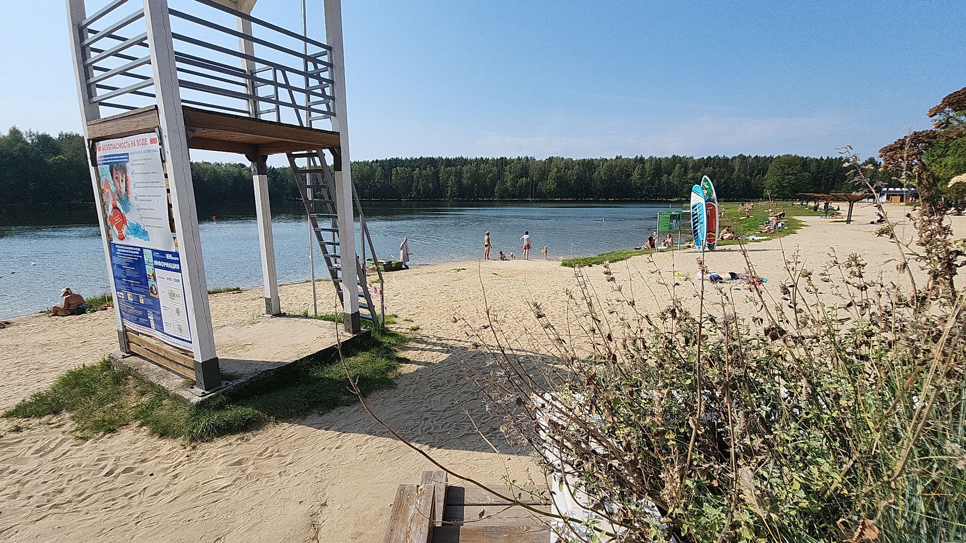 парк авангард, парки подмосковья, 1 сентября, 1 сентября 2024, праздник, первый день осени, лето в подмосковье, электросталь, мой город, жители города, культура,