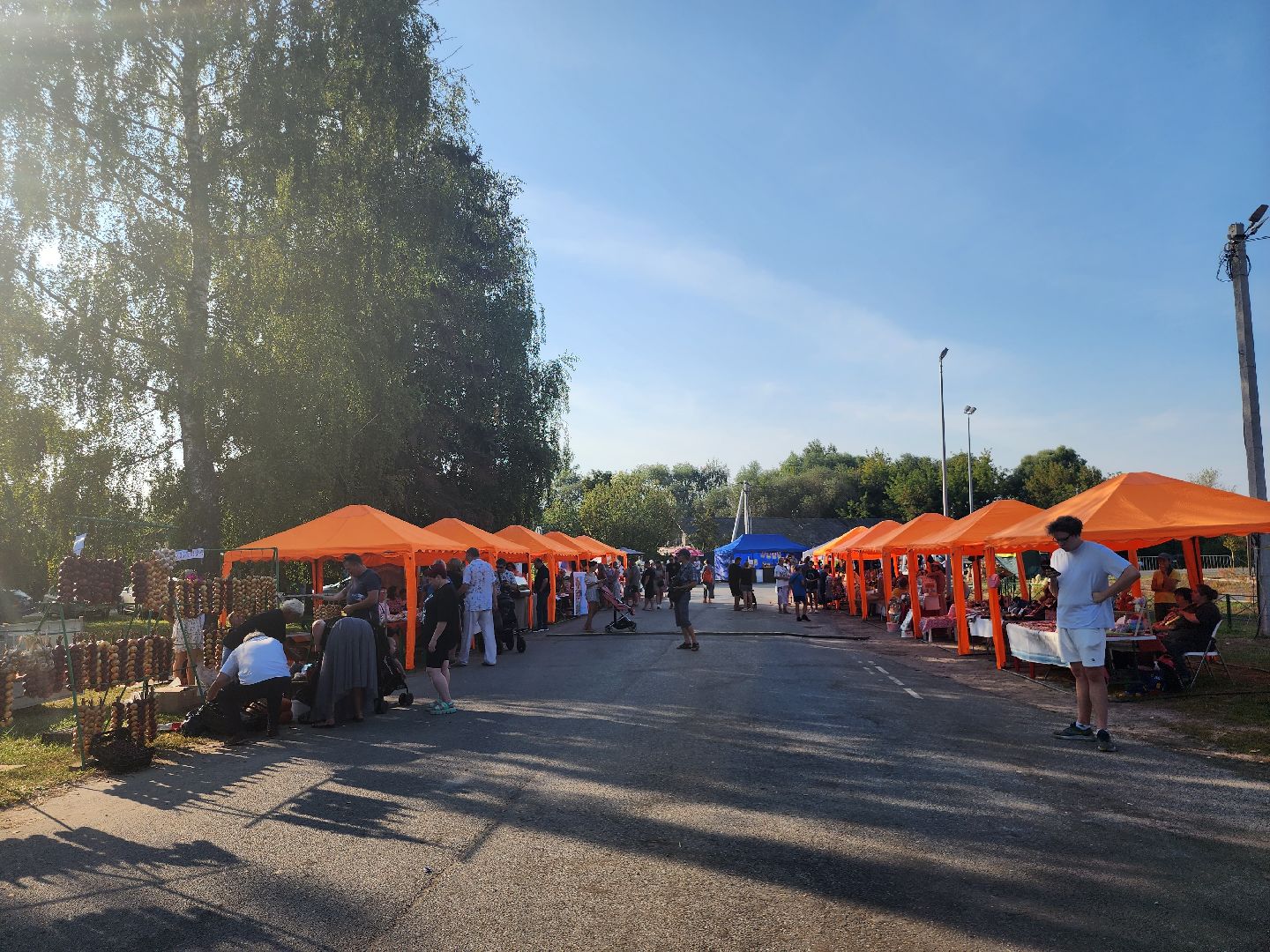 Коломна, аграрный фестиваль, мячковский лук, праздник урожая,