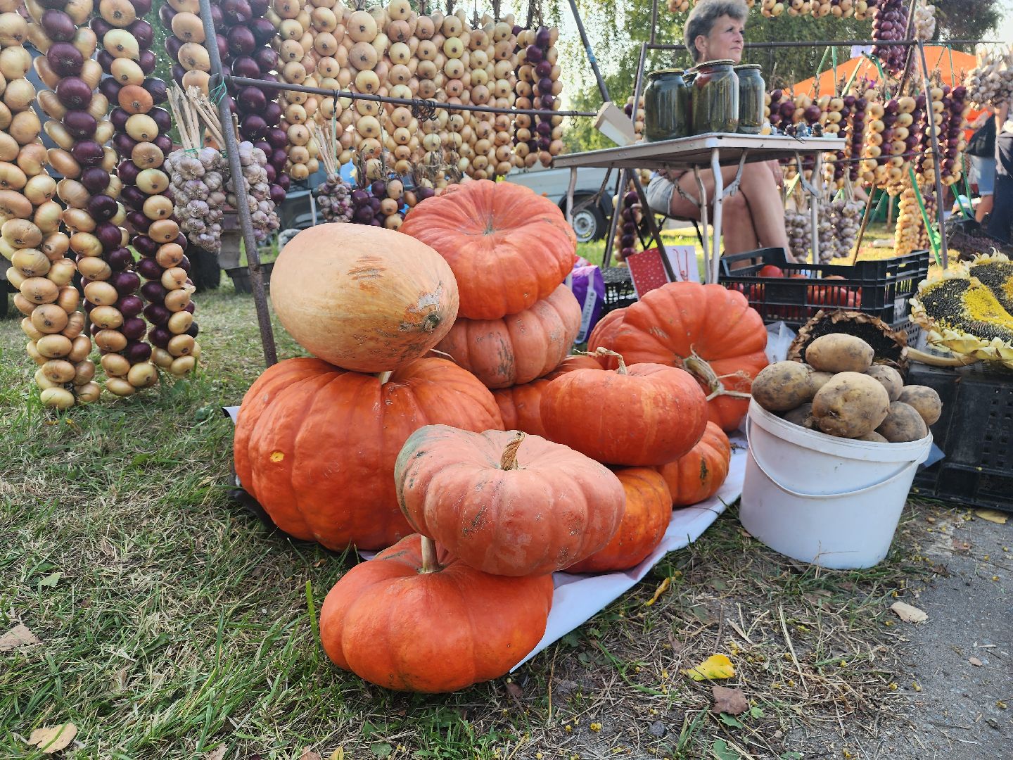Коломна, аграрный фестиваль, мячковский лук, праздник урожая,