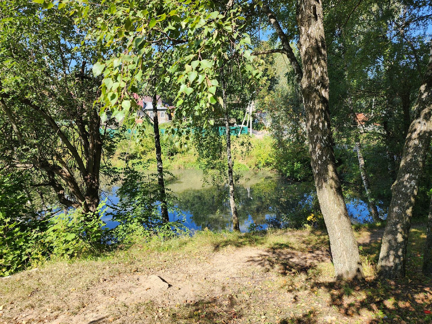 одинцово, баковка, жкх, экология, пруд,