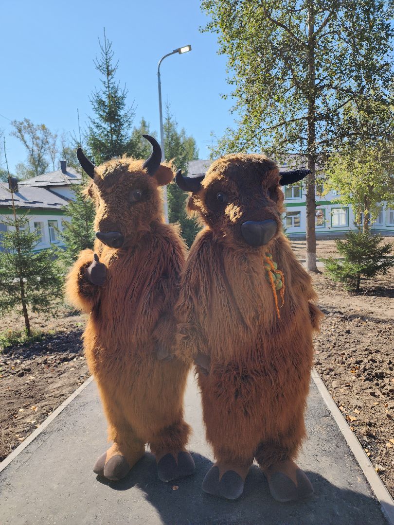 серпухов, подмосковье, нацпроект образование,