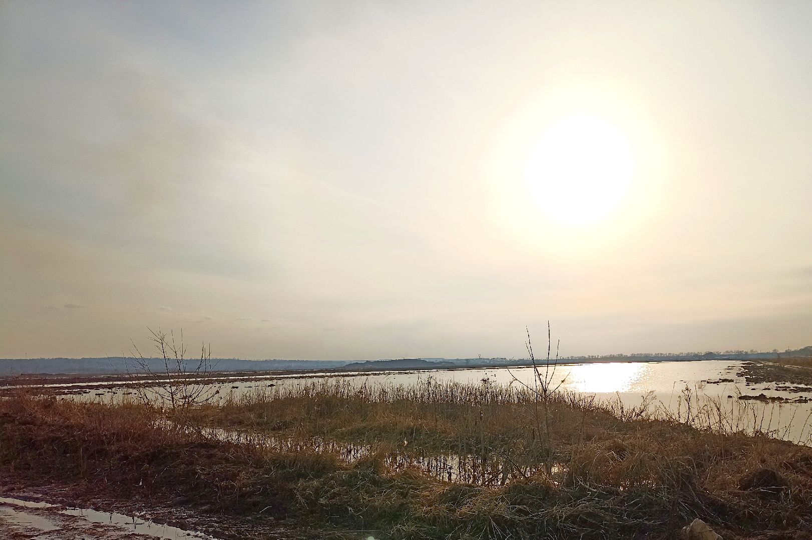 Серпухов, Ока, половодье, разлив, Подмосковье