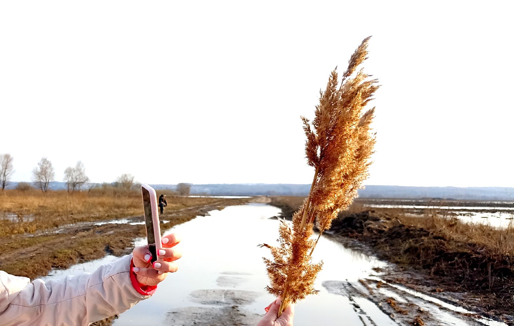 Серпухов, Ока, половодье, разлив, Подмосковье