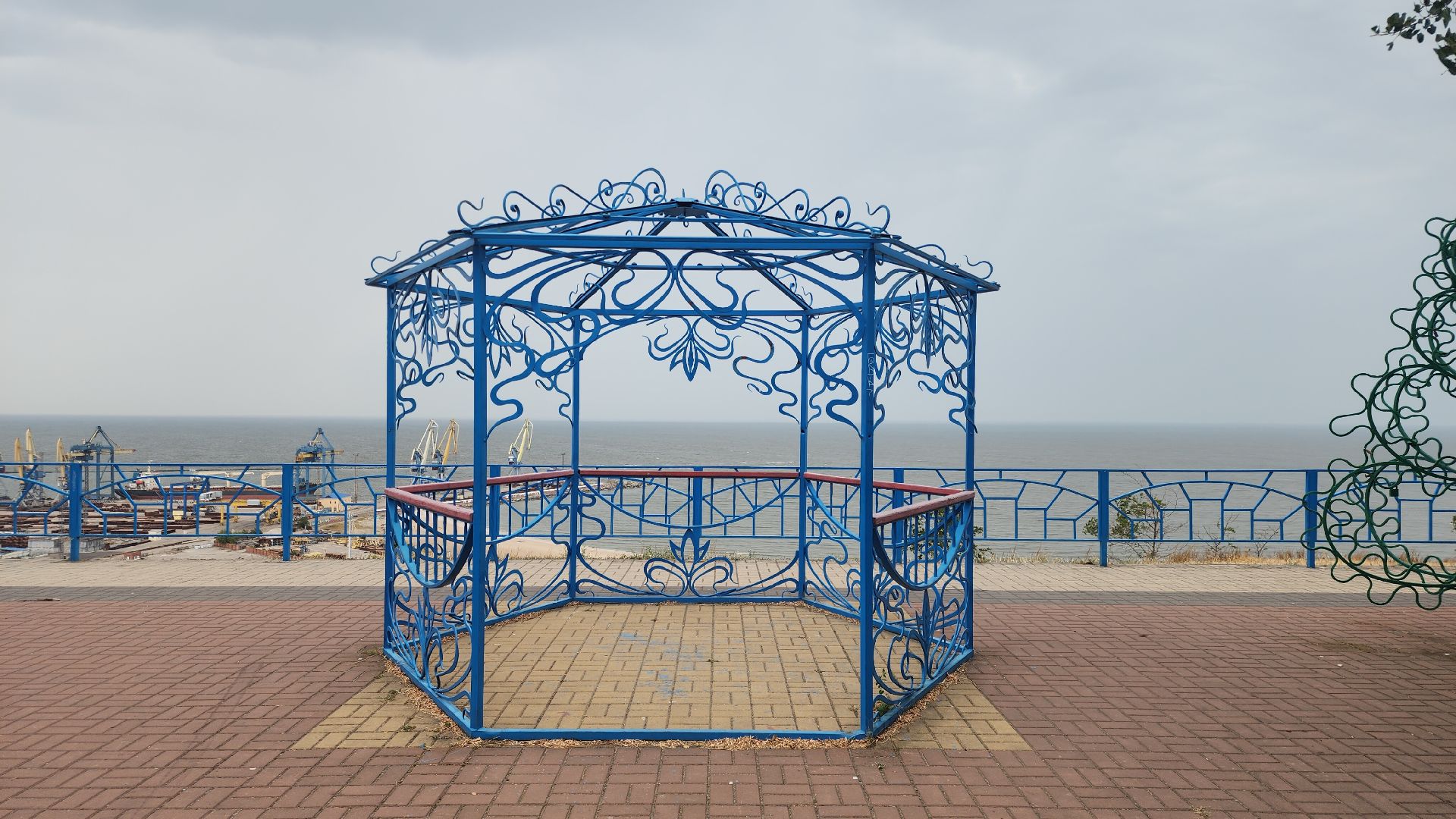 Подмосковье, Спецоперация,образование,