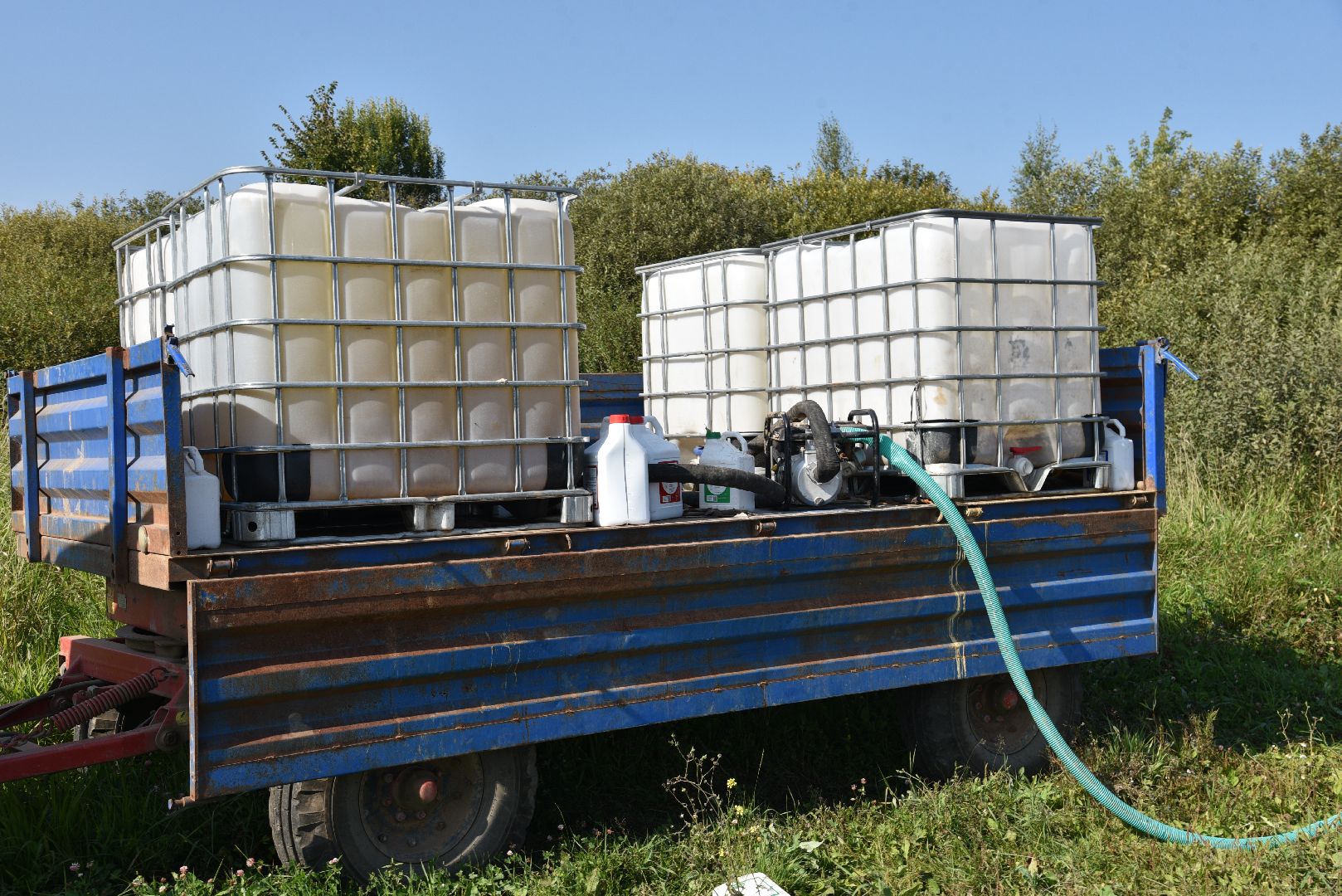 лотошино, сельское хозяйство, картофель, урожай 2024,